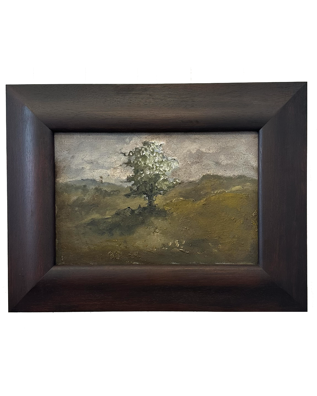 Hawthorn O’Branchal
