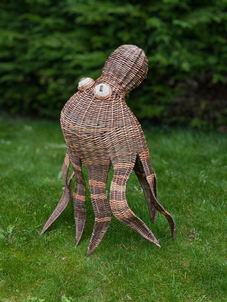 The Octopus