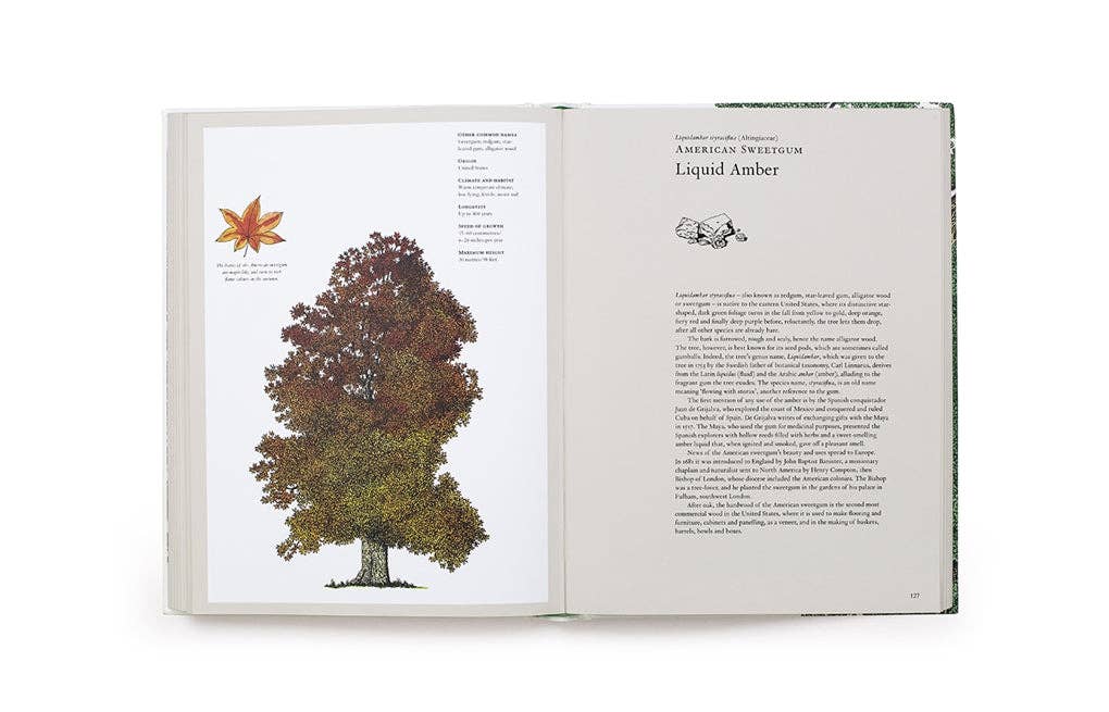 The Story of Trees by Kevin Hobbs (Hardback)