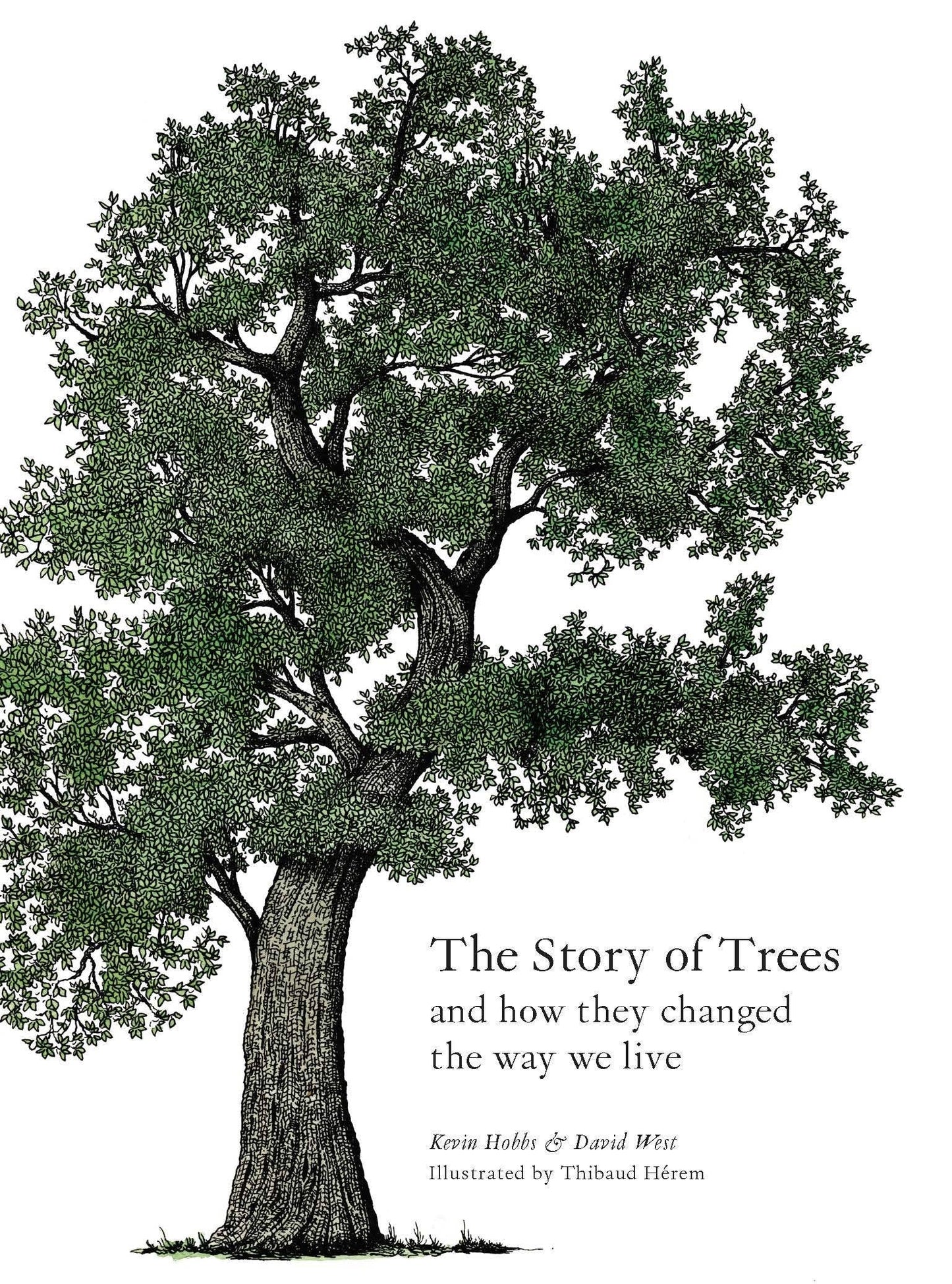 The Story of Trees by Kevin Hobbs (Hardback)