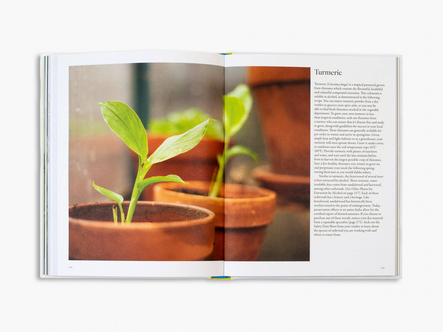 From Plant to Pigment
