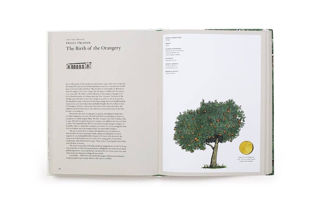 The Story of Trees by Kevin Hobbs (Hardback)