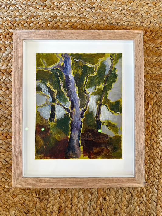 Birch