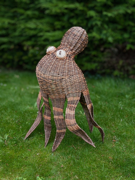 The Octopus