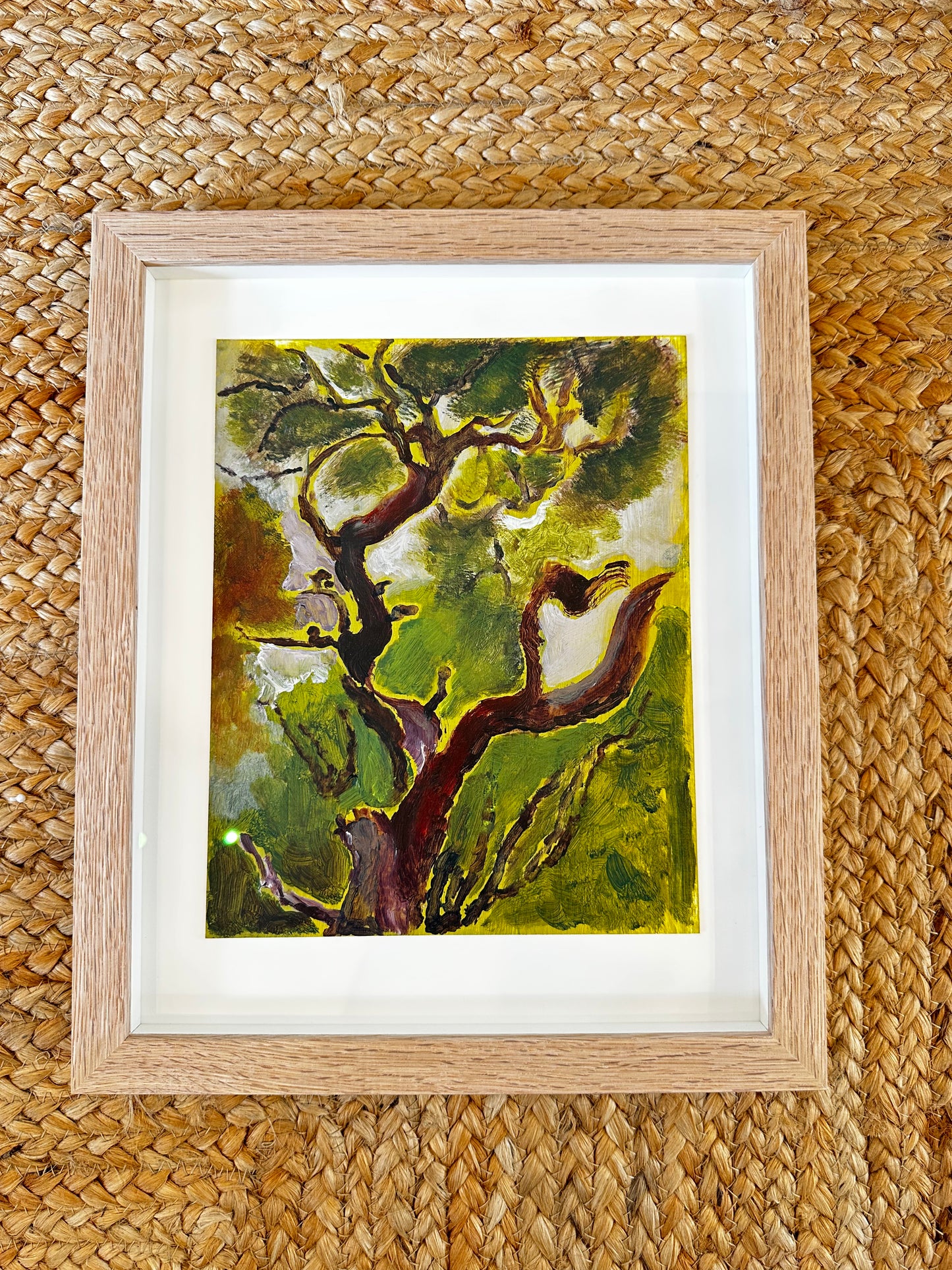 Scots Pine