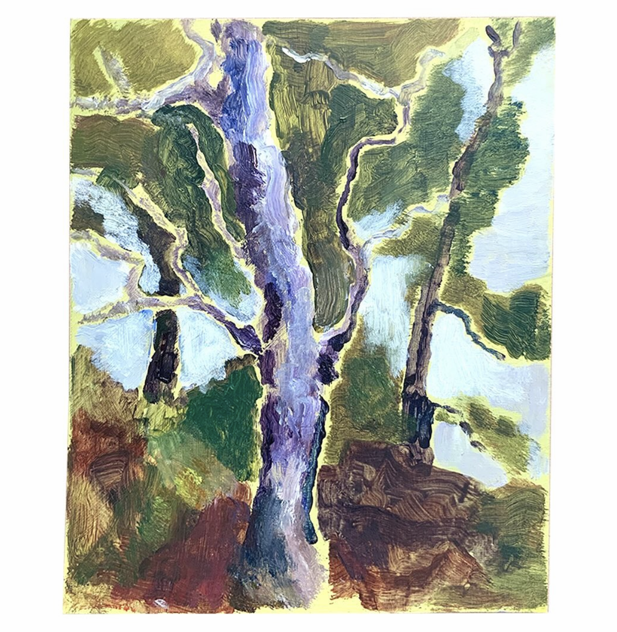 Birch
