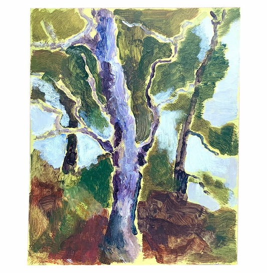 Birch