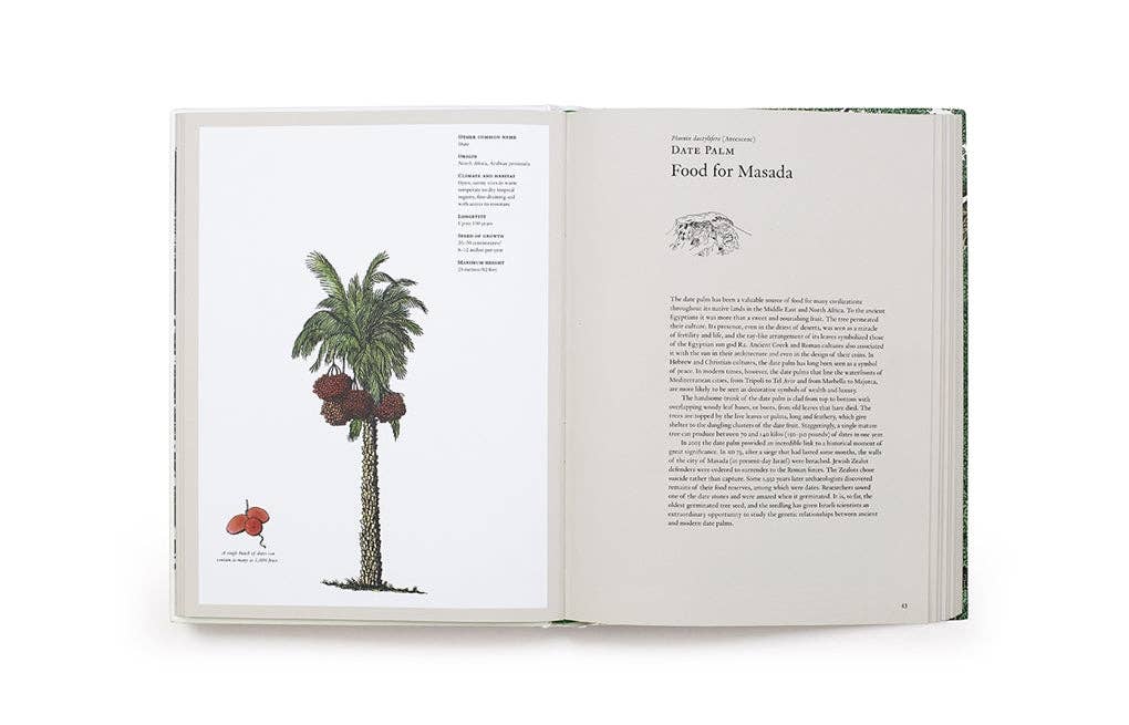 The Story of Trees by Kevin Hobbs (Hardback)