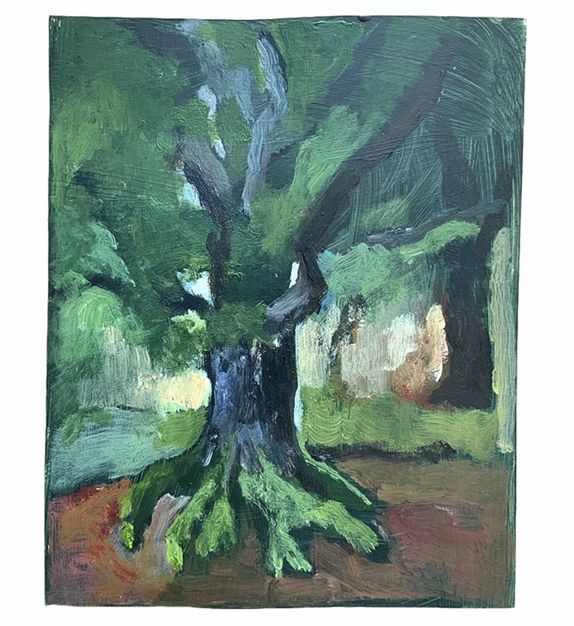 Oak