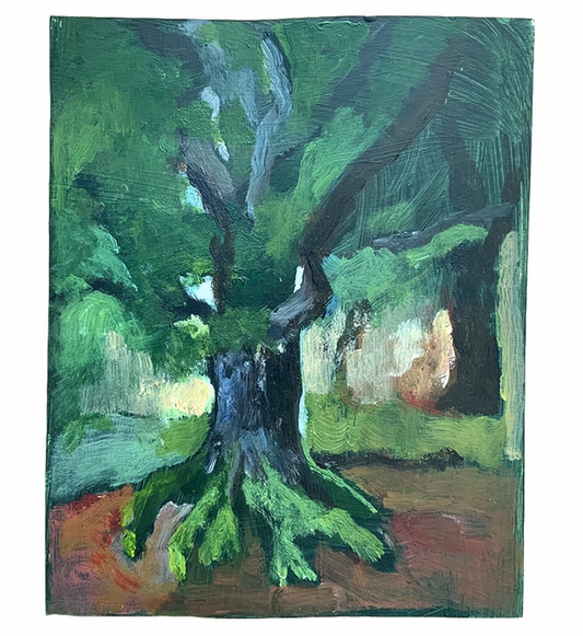 Oak